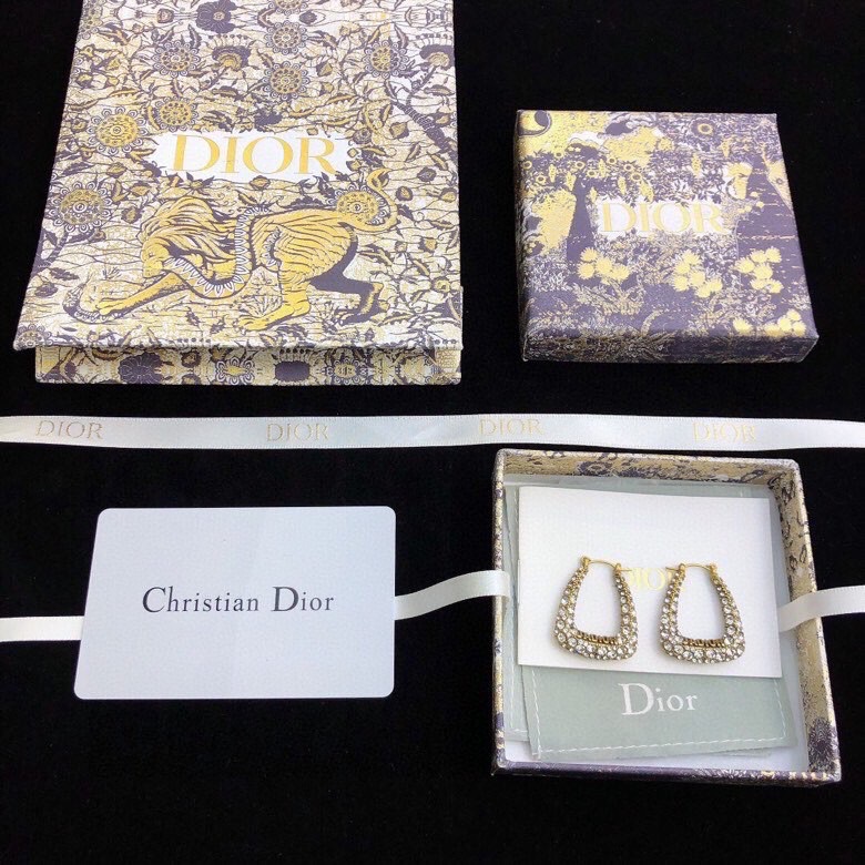 Dior Earring 05lyr533